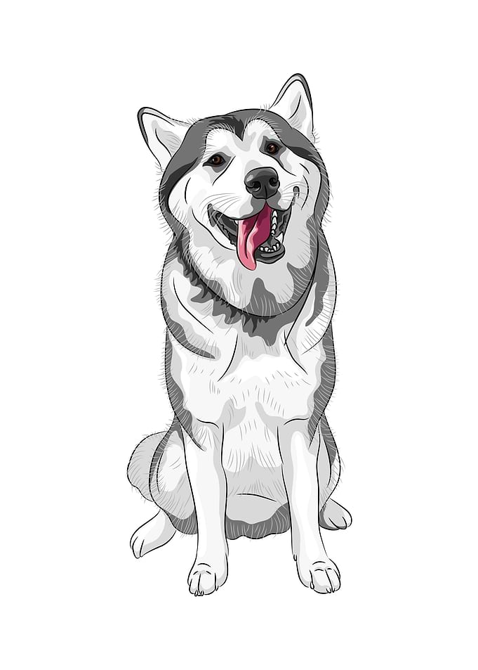 Husky