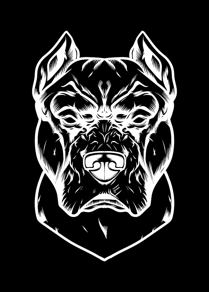 Pit bull