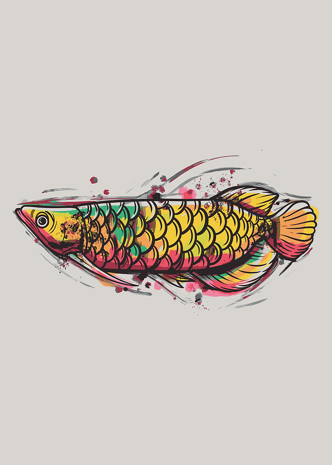 AROWANA