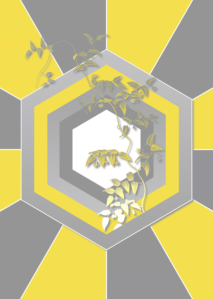 Gray and Yellow Creeper