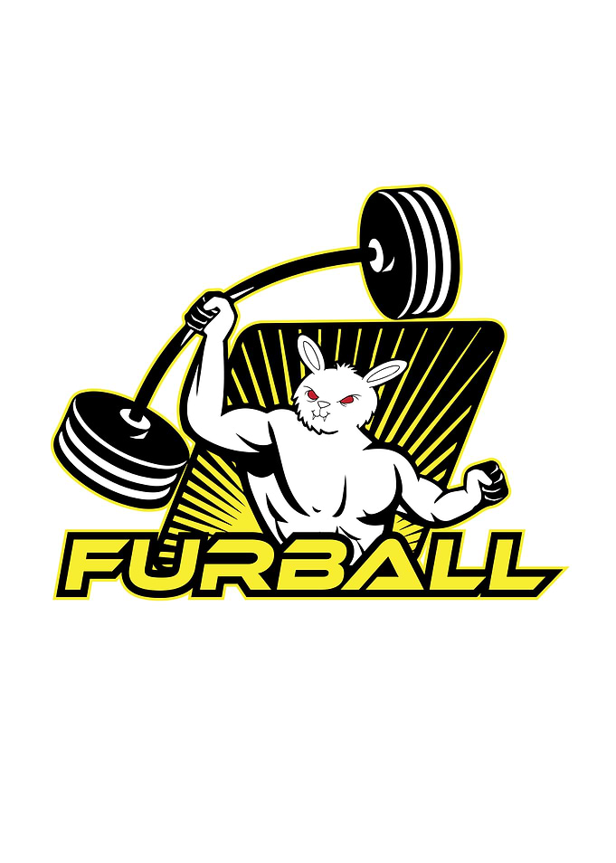 Furball