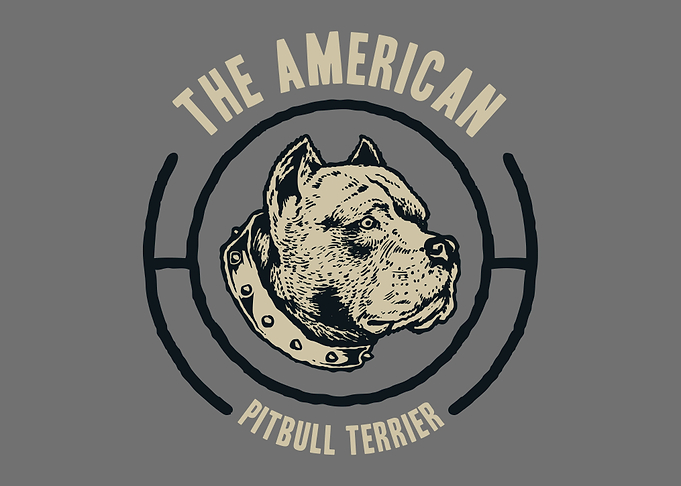 Pit bull