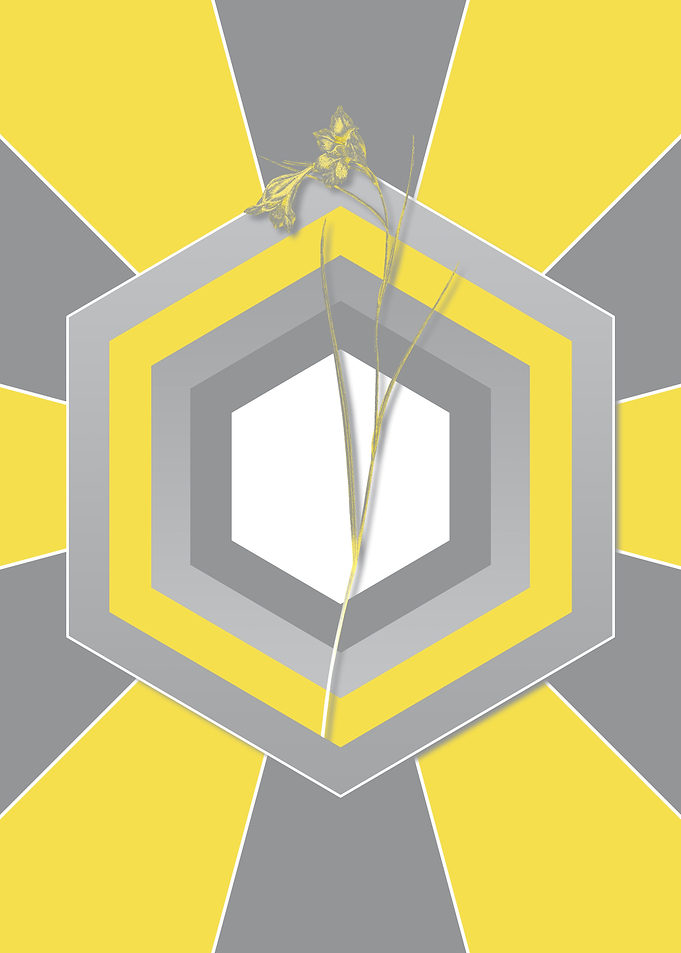 Gray and Yellow Blue Pipe