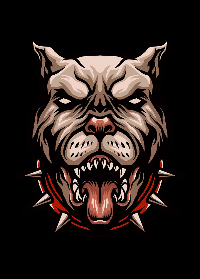 Pit bull