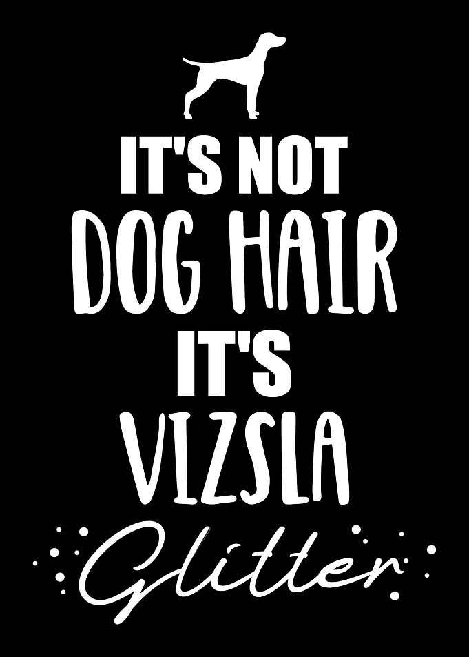 Vizsla