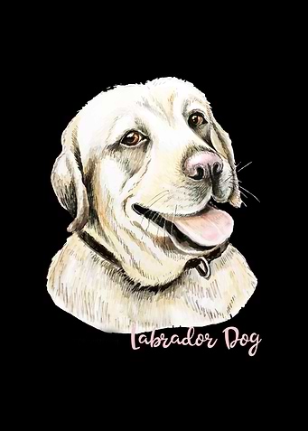 Labrador