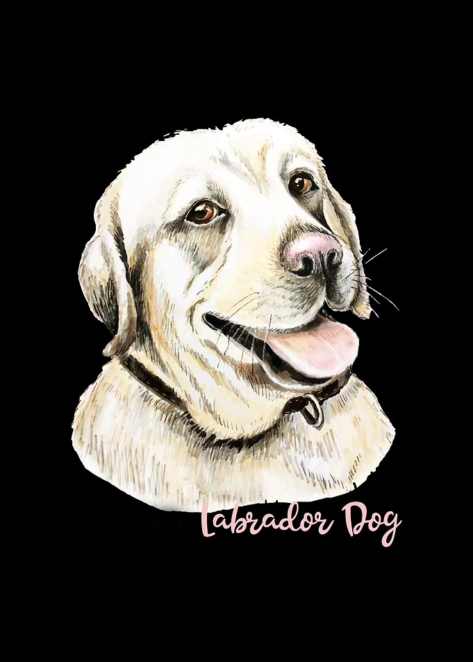 Labrador