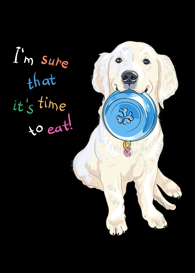 Labrador