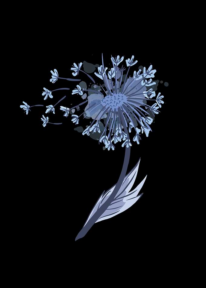 Dandelion