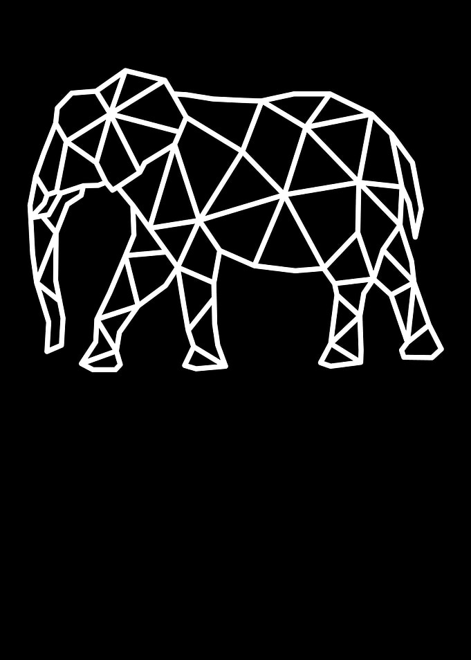 Elephant Polygon