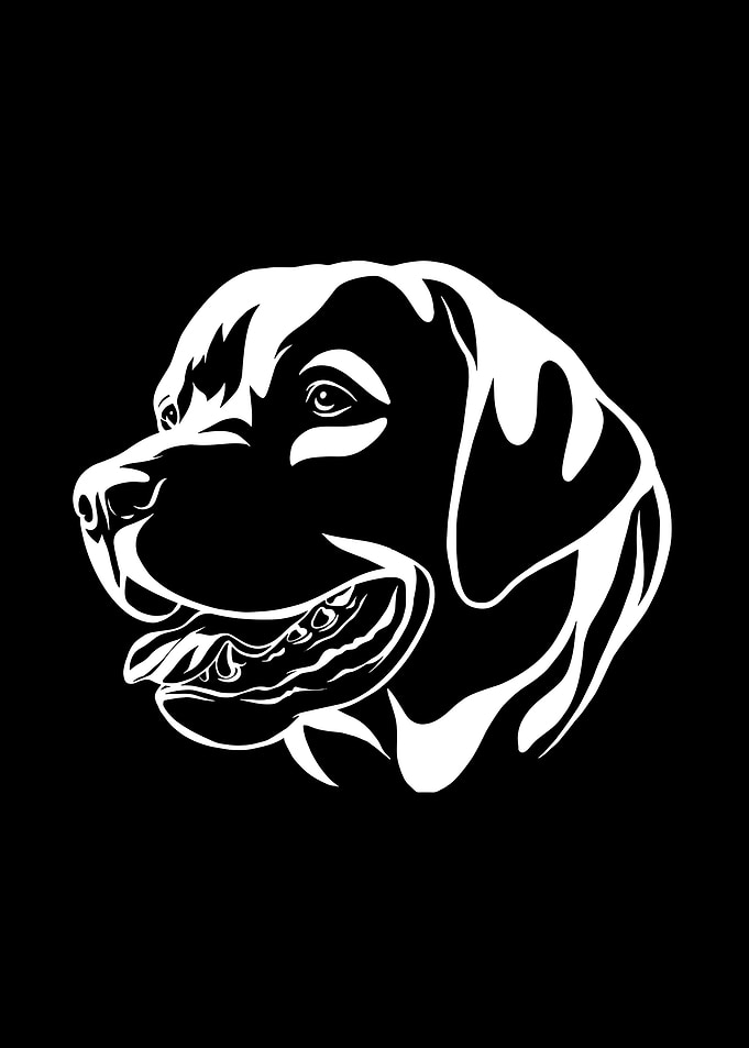 Labrador