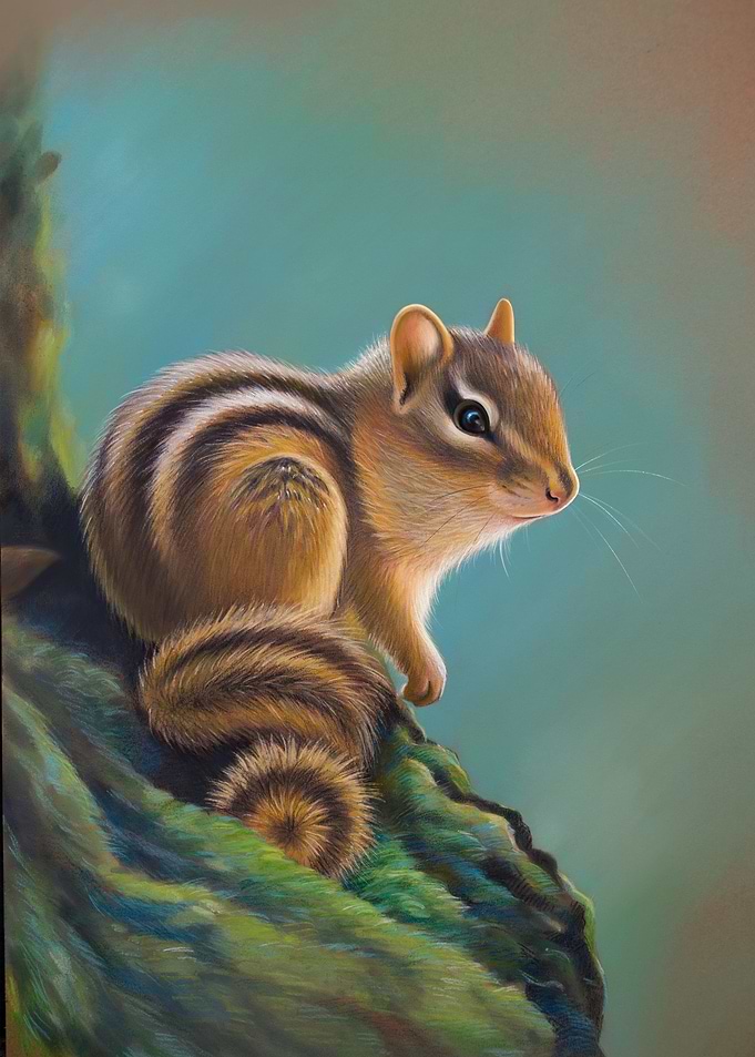 Little chipmunk