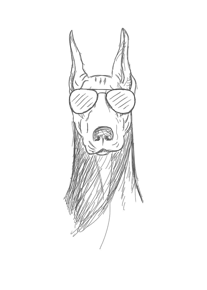 Funny Doberman I Gift