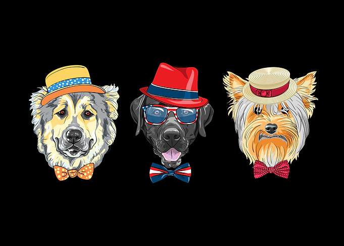 Shihtzu