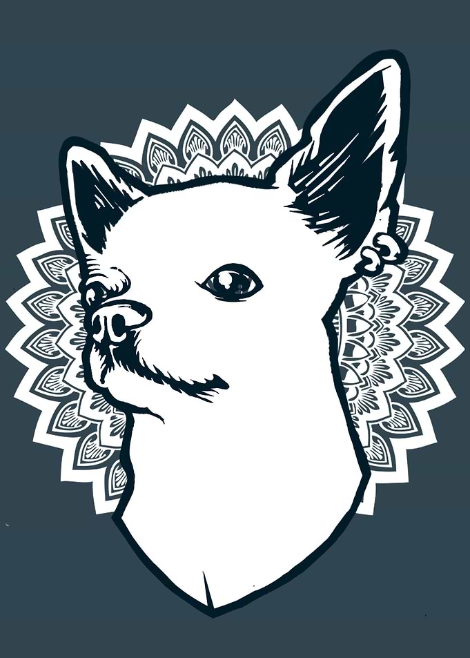 mandala chihuahua