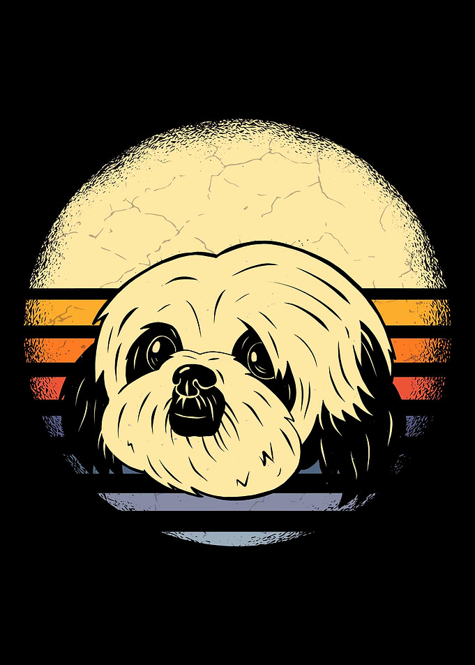 Shih Tzu Vintage Dogs