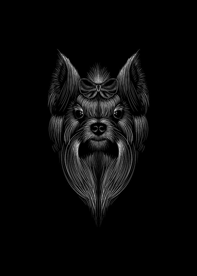 Shihtzu