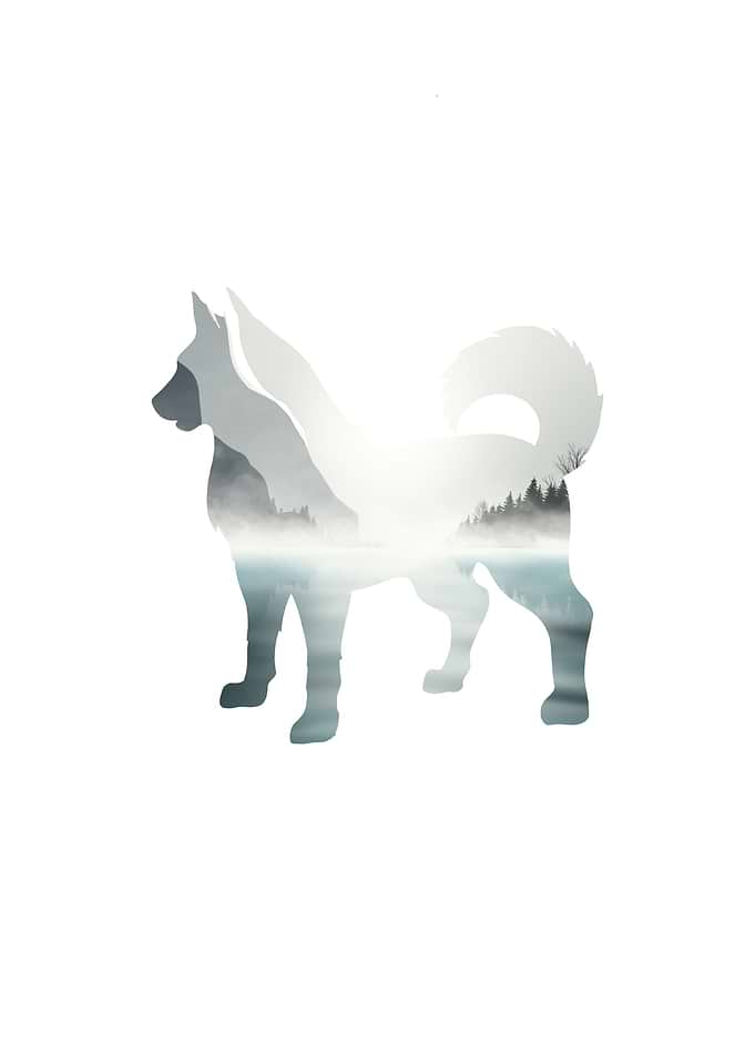Husky Vector