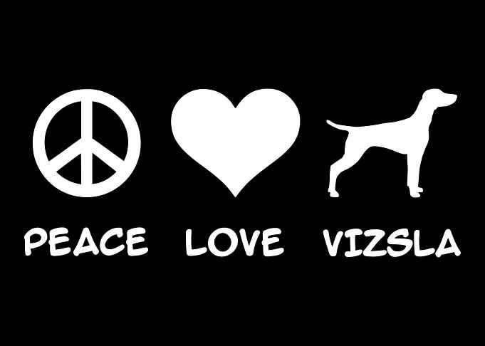 Vizsla