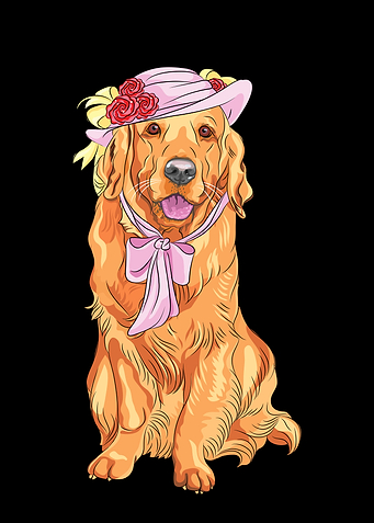 Labrador