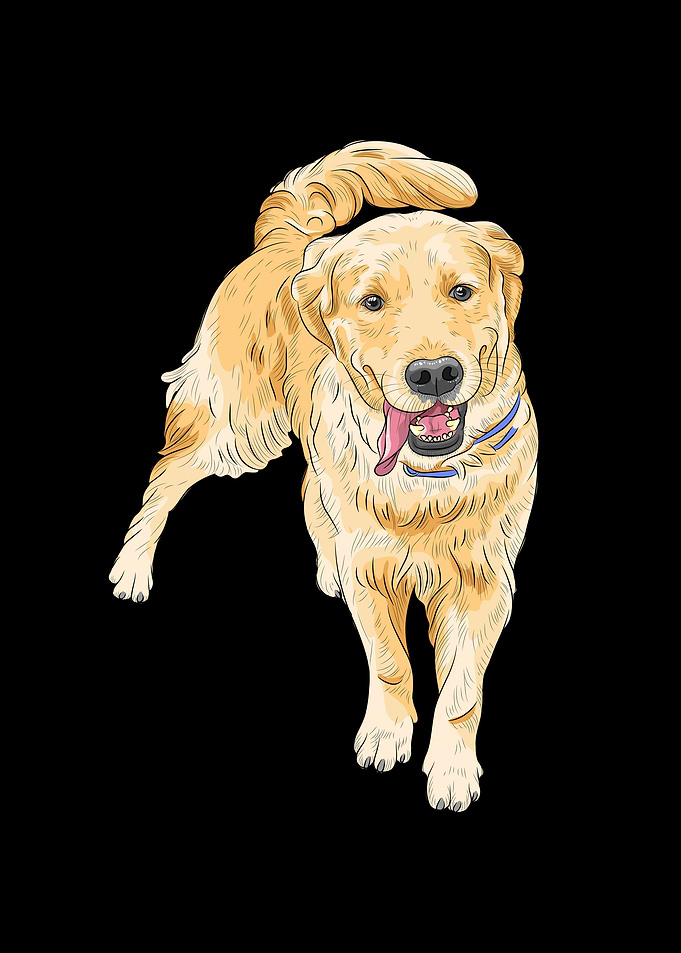 Labrador