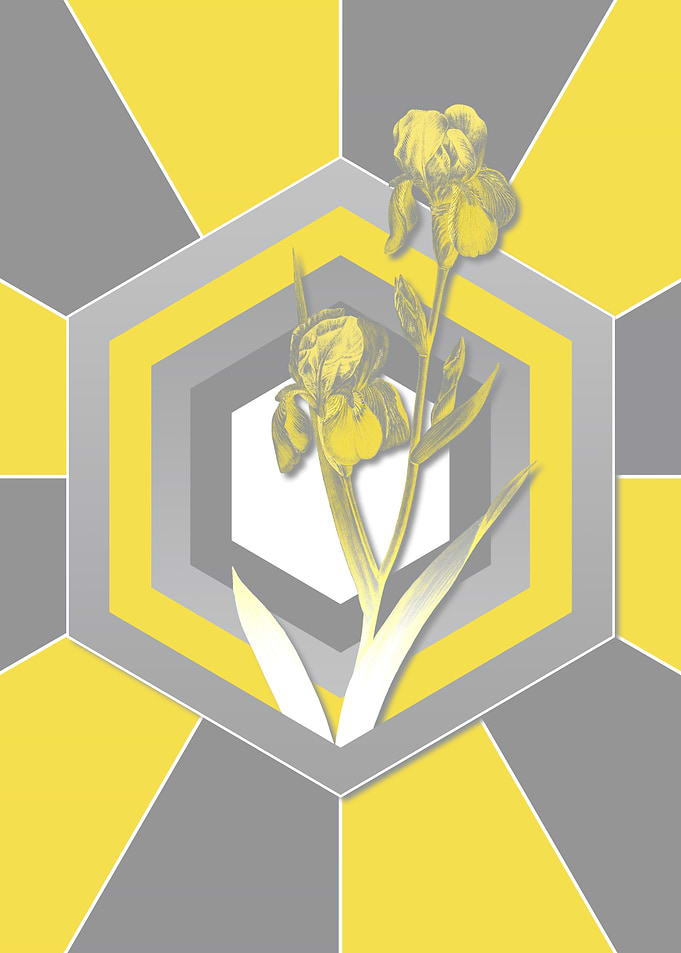 Botanical Illustration