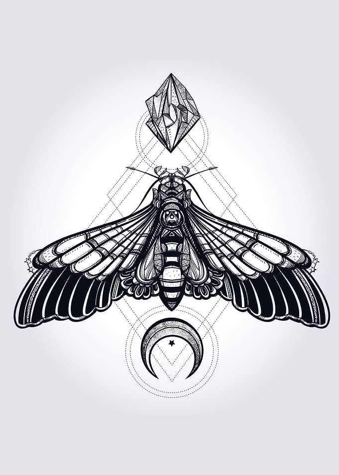 Spooky Moth