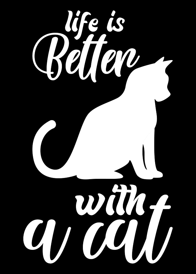Life is better with a Cat