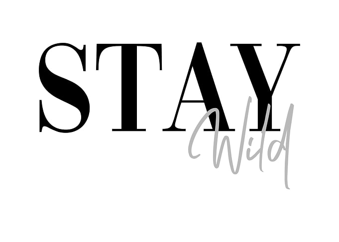Stay Wild