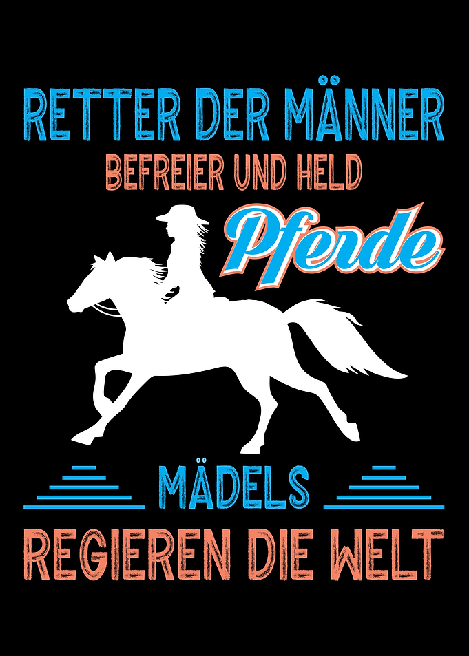 rider horse horse lover st