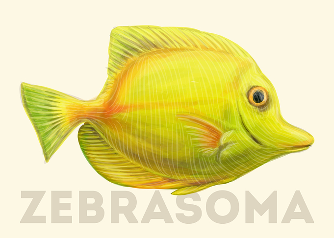 ZebraSoma Fish
