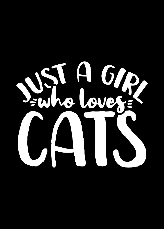 Cats Cat Lover