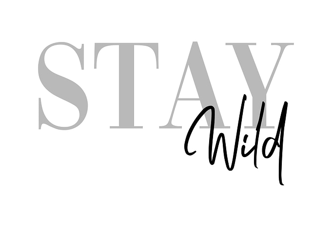 Stay Wild