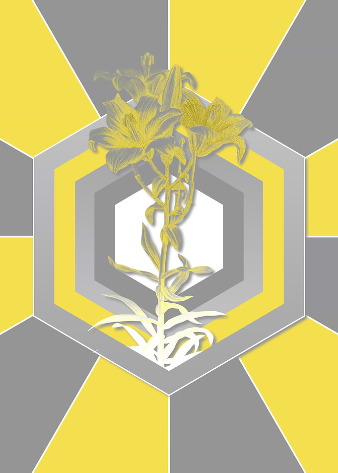 Botanical Illustration