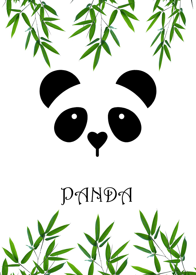 panda