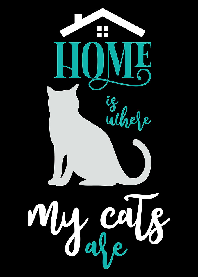 Home is where my cats are