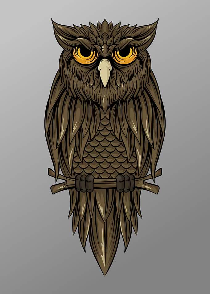 Nocturnal Owl