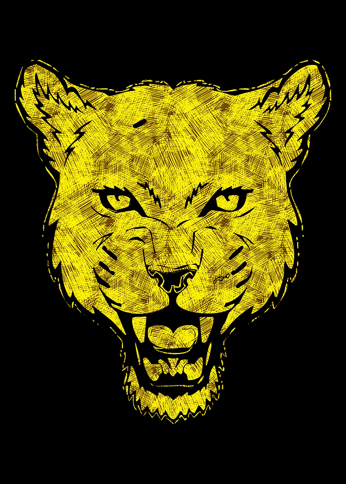 Jaguar Abstract Head