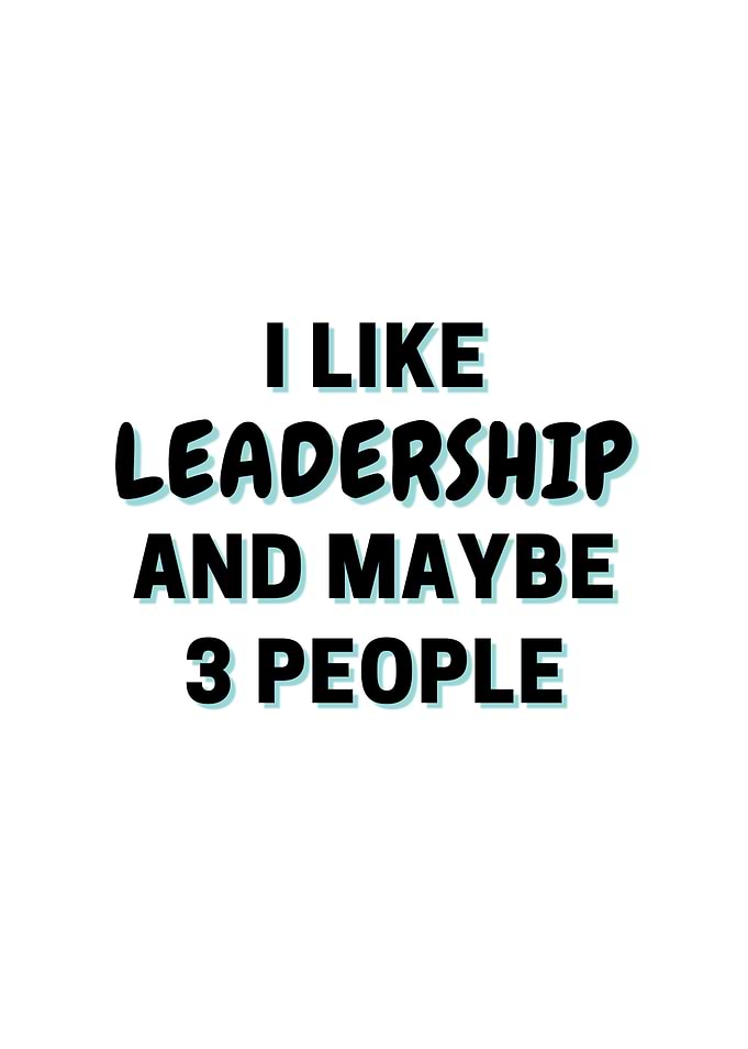I Like Leadership And