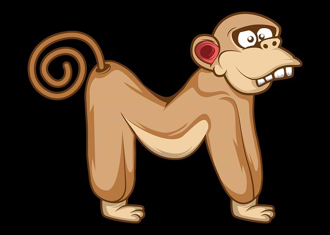 Animal Monkey M Preschool
