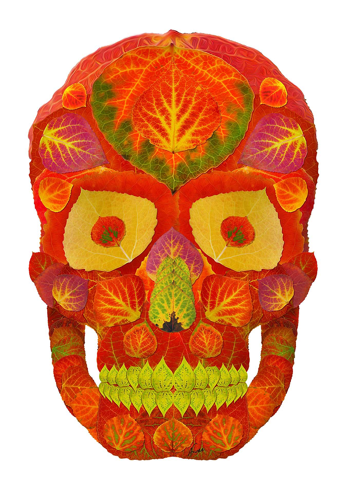 Aspen Leaf Skull 16