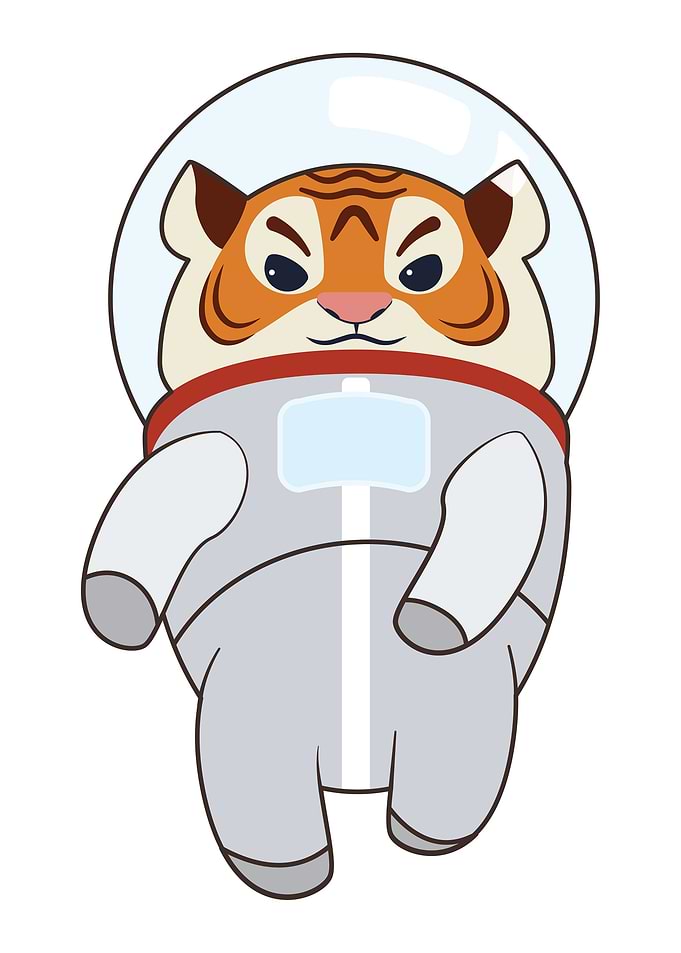 Spaceman Tiger