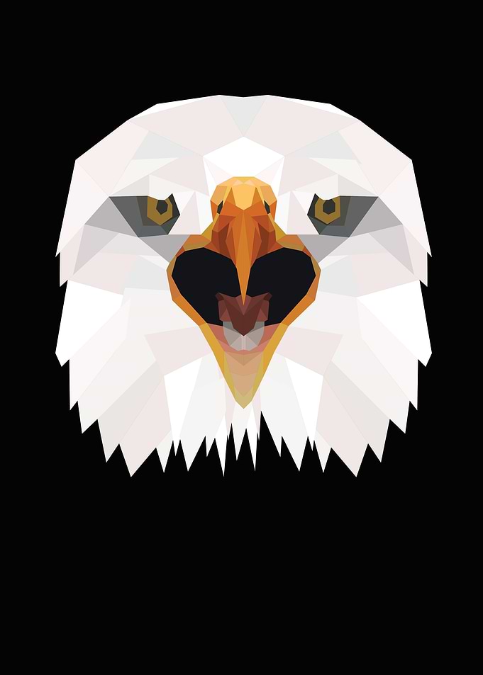 Eagle Bird