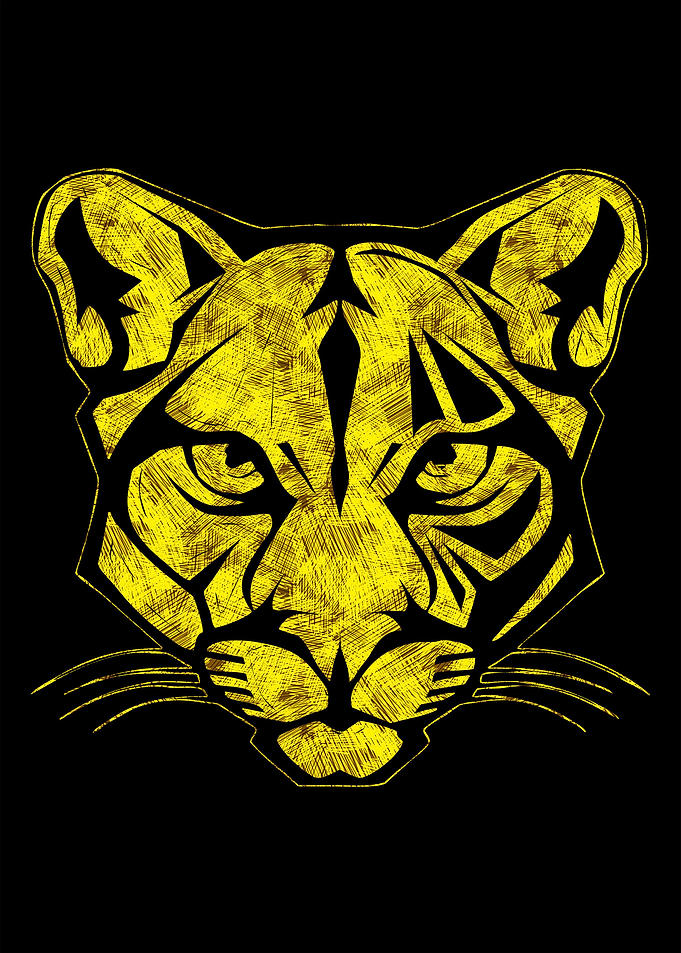 Intrepid Puma