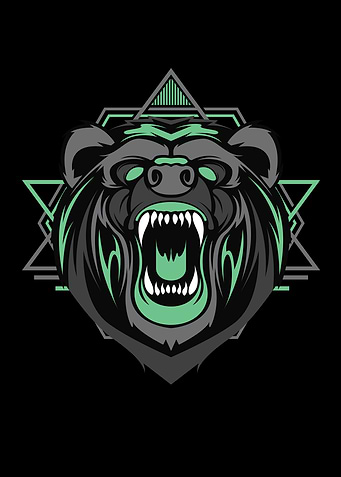 Cyberbear