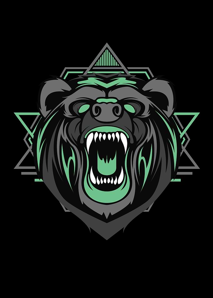 Cyberbear