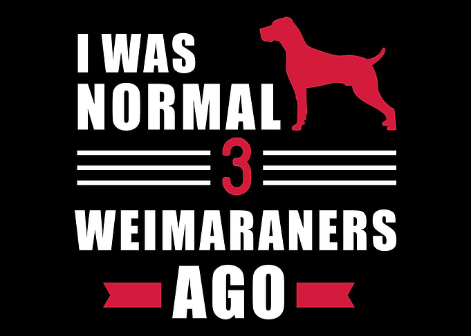 Weimaraner
