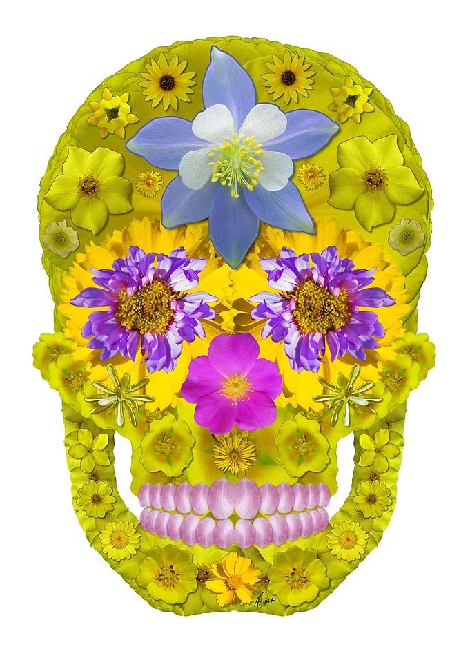 Flower Skull 3
