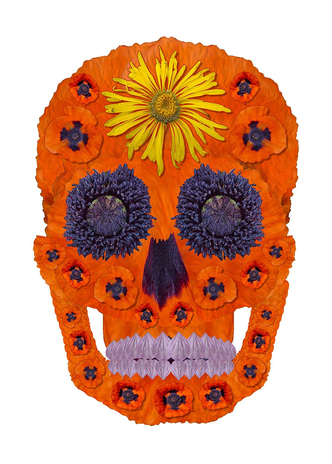 Flower Skull 1