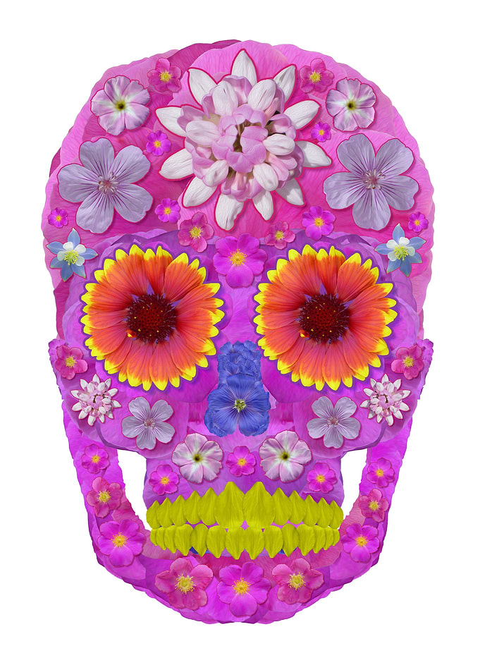 Flower Skull 2